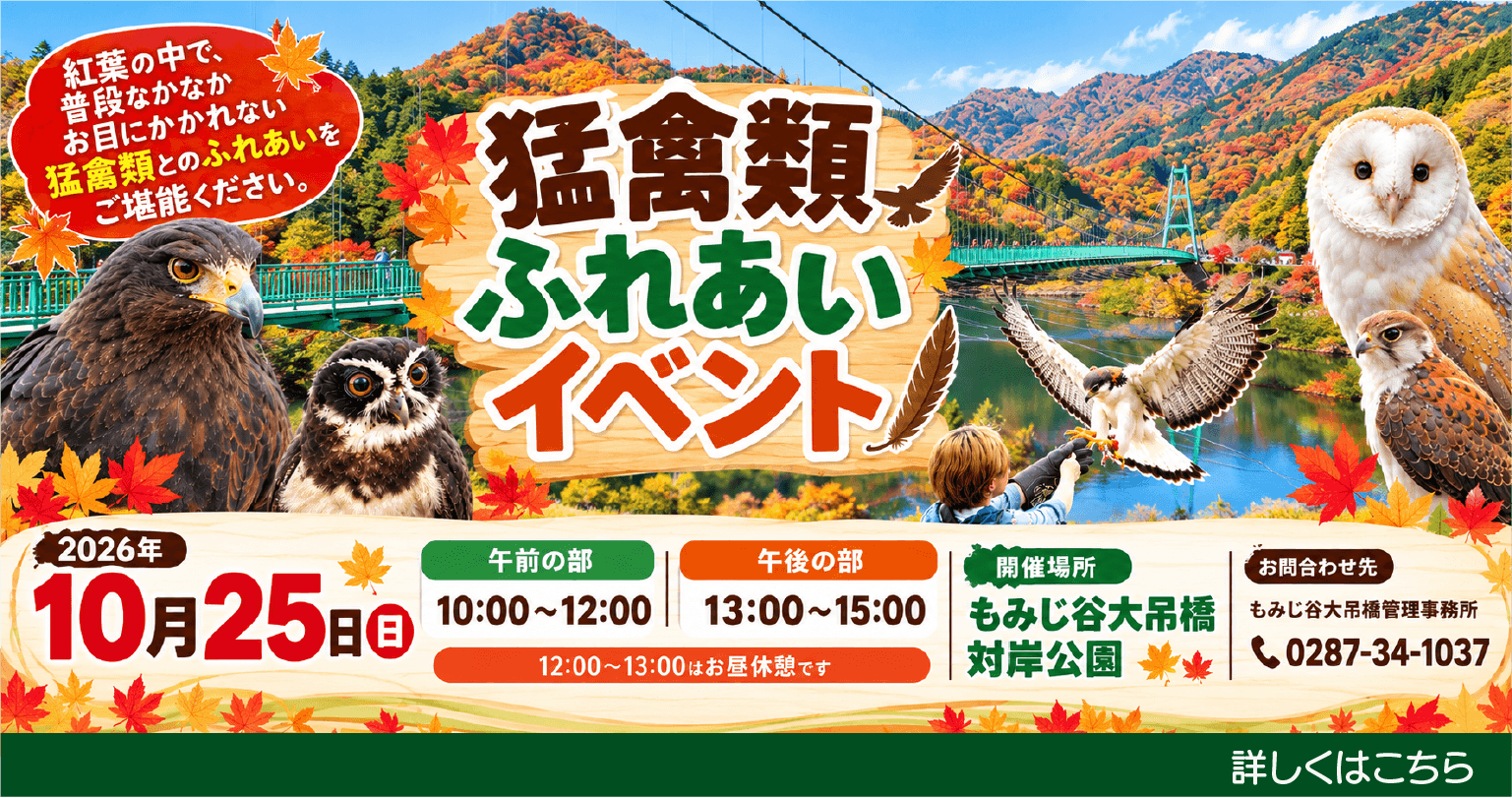 猛禽類ふれあいイベント